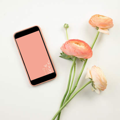 Peachy Bright Instagram Story Templates and Backgrounds