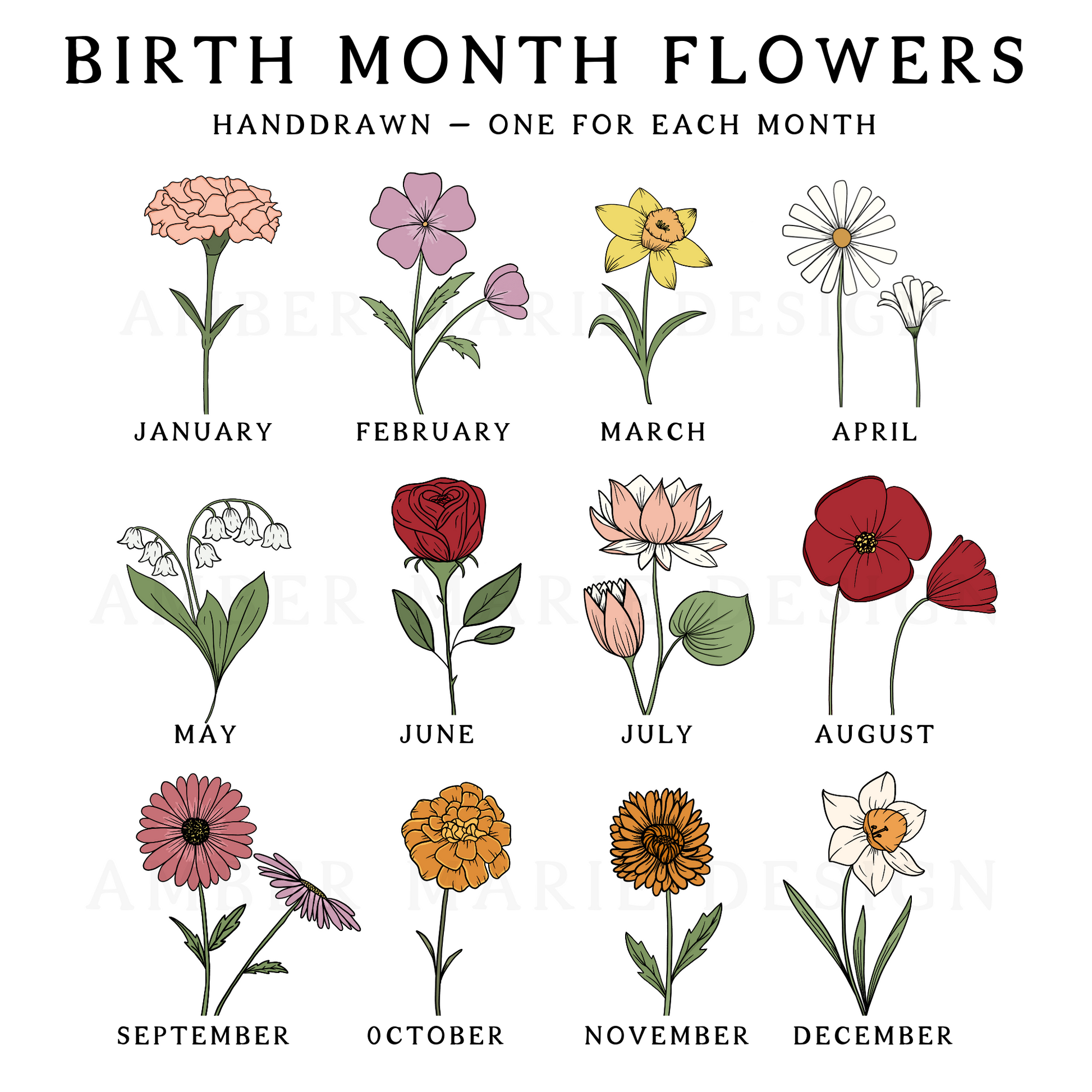 https://ambermariedesign.net/cdn/shop/products/COLORBIRTHMONTHFLOWERLISTINGWITHMONTHS.png?v=1681398162&width=1946